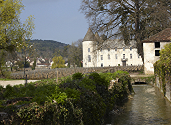 Office de tourisme Beaune & Pays Beaunois - BIT de Savigny-lès-Beaune - SAVIGNY-LES-BEAUNE